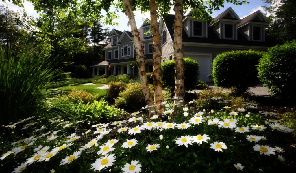 cold calling real estate scripts