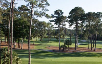 How to Write a Timeshare Sales Pitch for Telesales