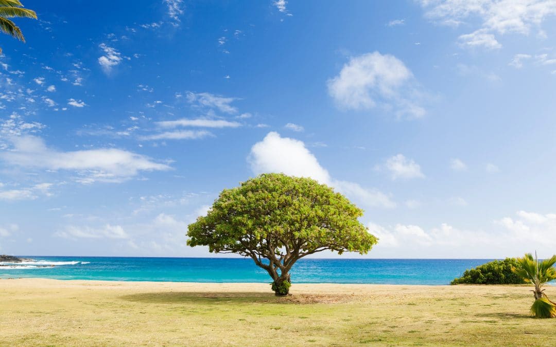 Inside the Successful Cold-Calling Mindset