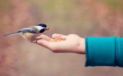 5 of the Most Creative Ways to Retain Customers in Insurance Sales