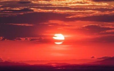 8 Errors That Will Destroy an Effective Lead Management Process