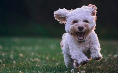 7 Simple Client Retention Strategies That Have the Biggest ROI