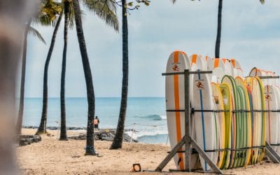 Timeshare Sales Training 101: The Rookie’s Guide to Success